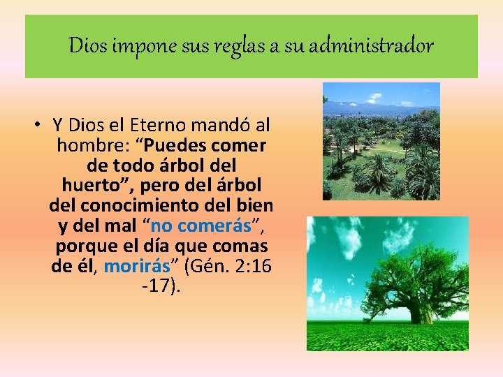 Dios impone sus reglas a su administrador • Y Dios el Eterno mandó al Dios impone sus reglas a su administrador • Y Dios el Eterno mandó al