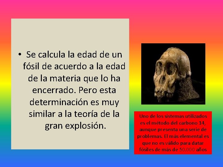 • Se calcula la edad de un fósil de acuerdo a la edad • Se calcula la edad de un fósil de acuerdo a la edad
