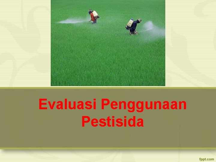 Evaluasi Penggunaan Pestisida 
