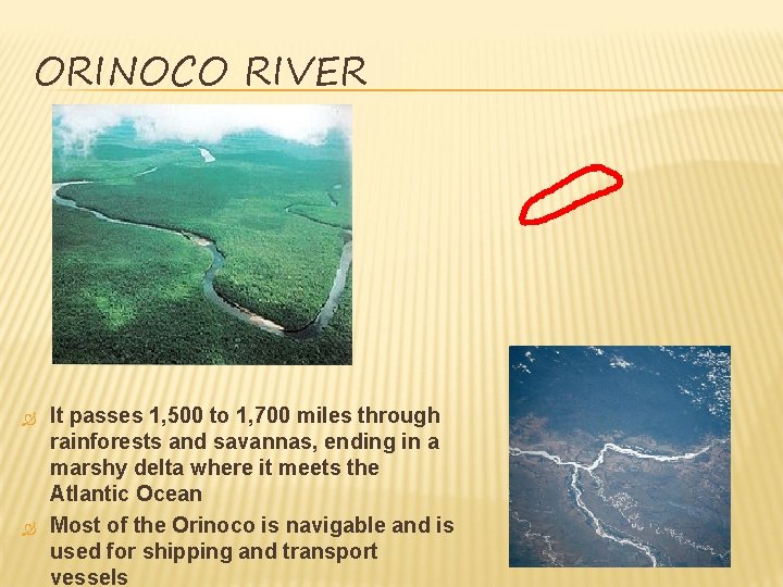 ORINOCO RIVER It passes 1, 500 to 1, 700 miles through rainforests and savannas, ORINOCO RIVER It passes 1, 500 to 1, 700 miles through rainforests and savannas,