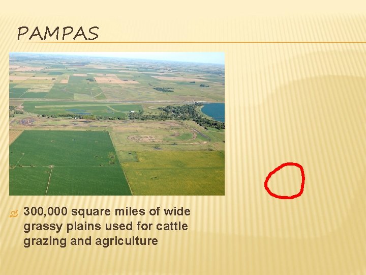 PAMPAS 300, 000 square miles of wide grassy plains used for cattle grazing and PAMPAS 300, 000 square miles of wide grassy plains used for cattle grazing and