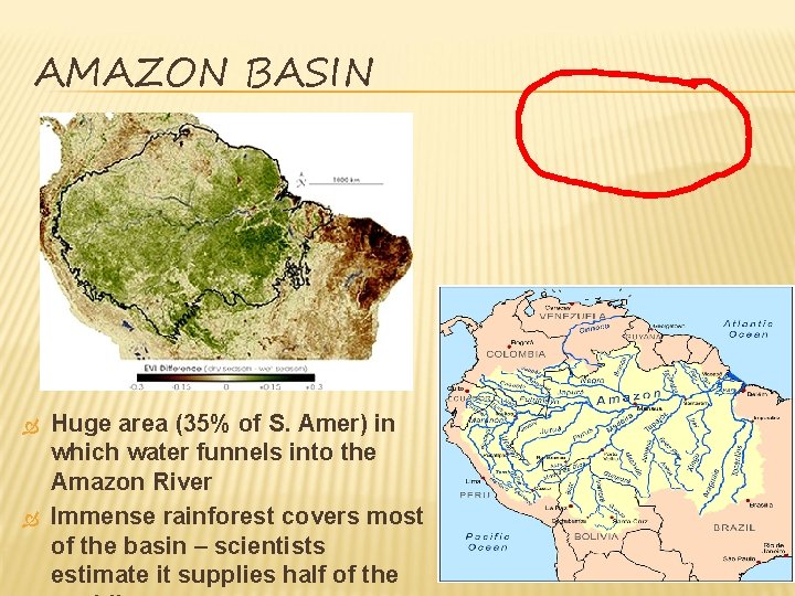 AMAZON BASIN Huge area (35% of S. Amer) in which water funnels into the AMAZON BASIN Huge area (35% of S. Amer) in which water funnels into the