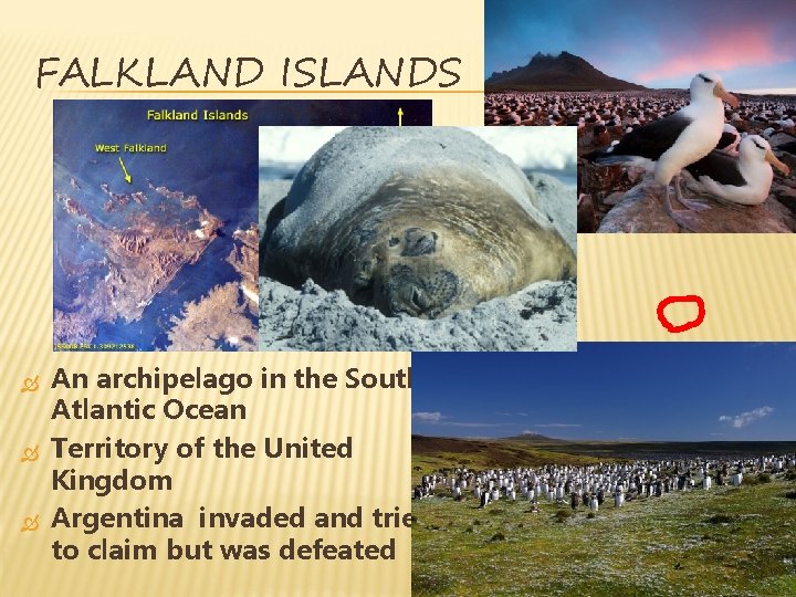 FALKLAND ISLANDS An archipelago in the South Atlantic Ocean Territory of the United Kingdom FALKLAND ISLANDS An archipelago in the South Atlantic Ocean Territory of the United Kingdom