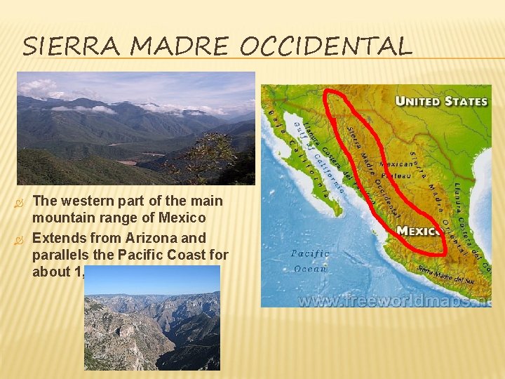 SIERRA MADRE OCCIDENTAL The western part of the main mountain range of Mexico Extends SIERRA MADRE OCCIDENTAL The western part of the main mountain range of Mexico Extends