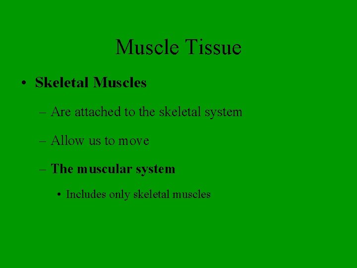 Muscle Tissue • Skeletal Muscles – Are attached to the skeletal system – Allow