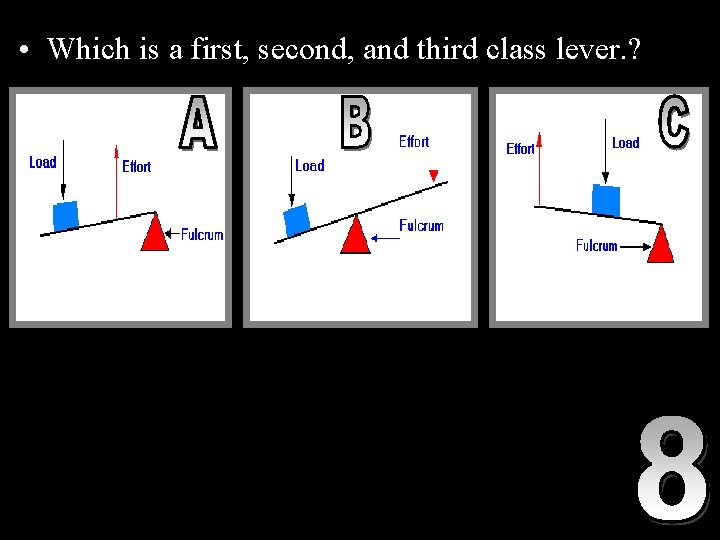  • Which is a first, second, and third class lever. ? 