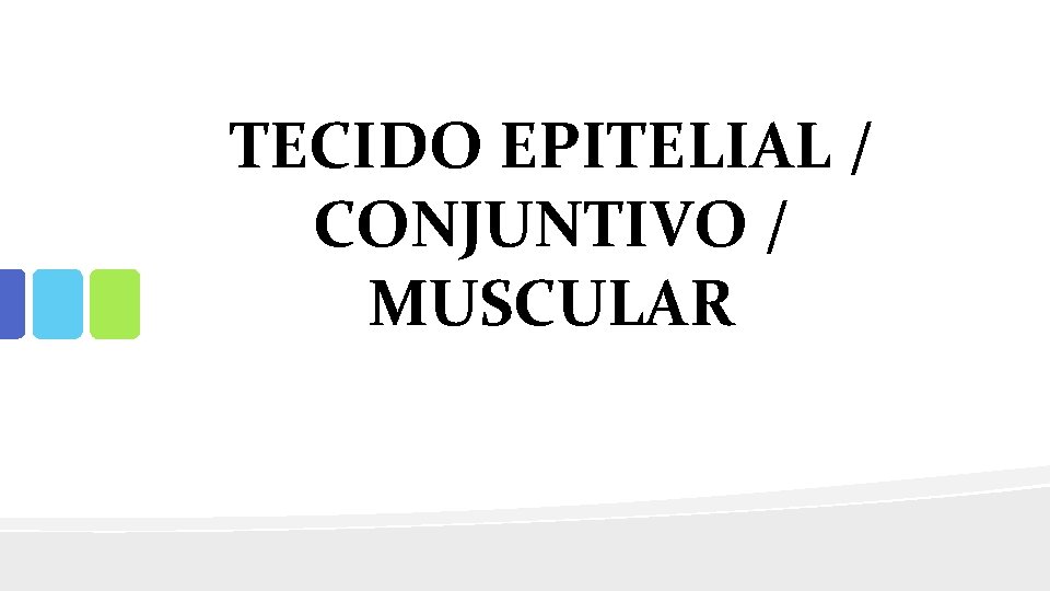 TECIDO EPITELIAL / CONJUNTIVO / MUSCULAR 