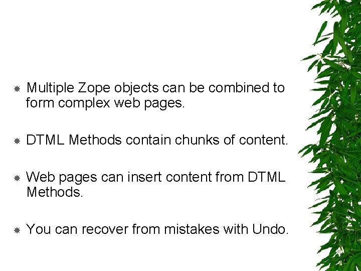  Multiple Zope objects can be combined to form complex web pages. DTML Methods