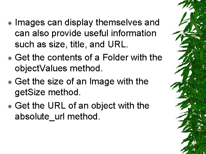 Images can display themselves and can also provide useful information such as size, title,