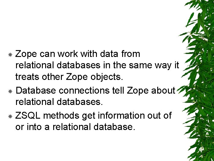 Zope can work with data from relational databases in the same way it treats