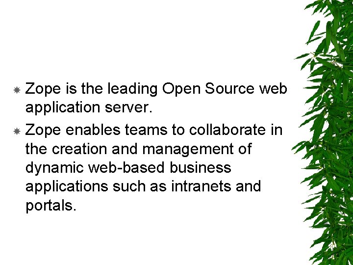 Zope is the leading Open Source web application server. Zope enables teams to collaborate