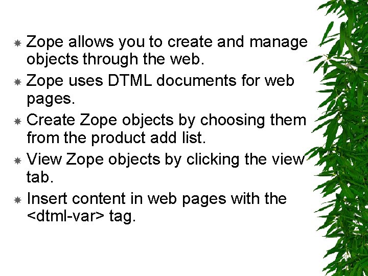Zope allows you to create and manage objects through the web. Zope uses DTML
