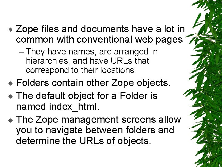  Zope files and documents have a lot in common with conventional web pages