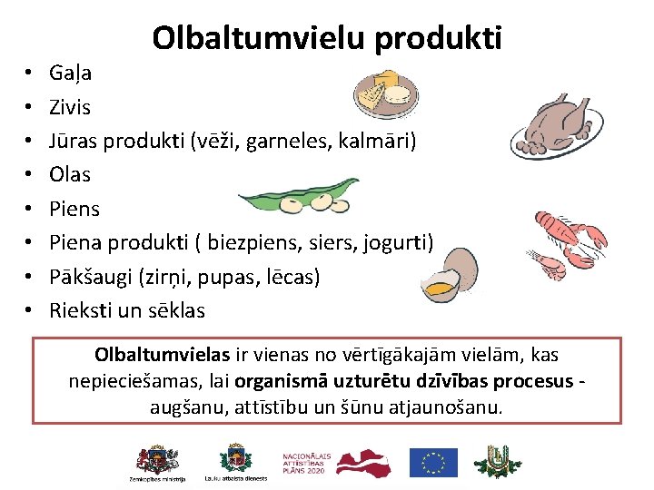  • • Olbaltumvielu produkti Gaļa Zivis Jūras produkti (vēži, garneles, kalmāri) Olas Piena