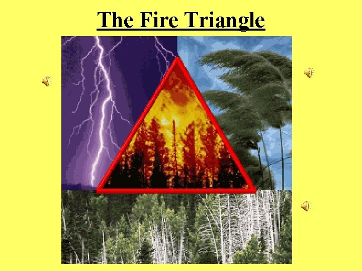The Fire Triangle 