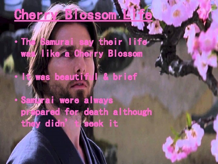 Cherry Blossom Life • The Samurai say their life was like a Cherry Blossom Cherry Blossom Life • The Samurai say their life was like a Cherry Blossom