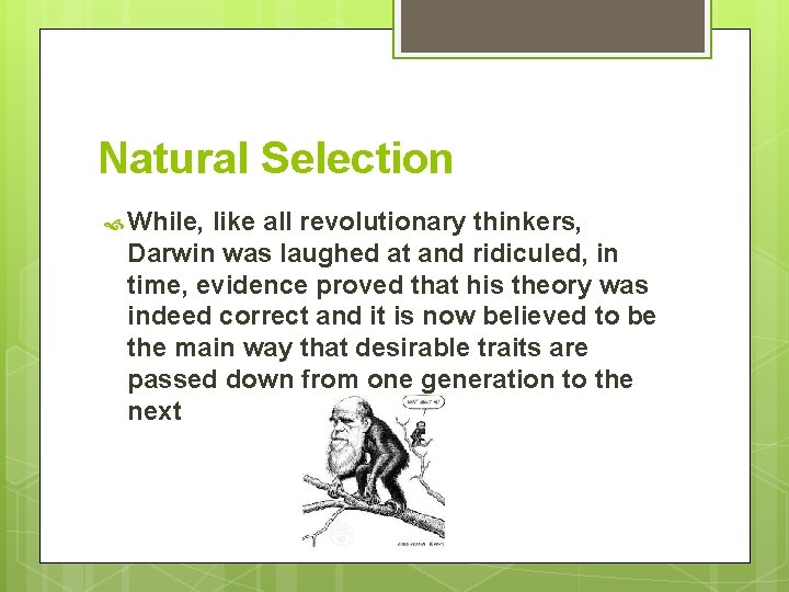Natural Selection While, like all revolutionary thinkers, Darwin was laughed at and ridiculed, in