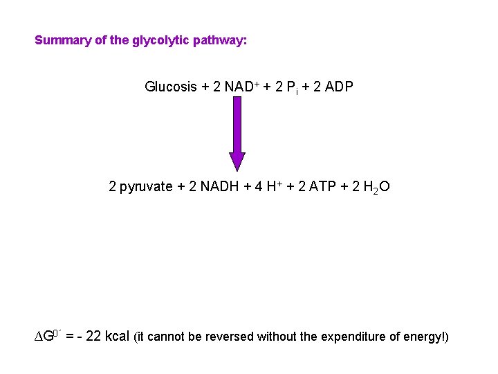 Summary of the glycolytic pathway: Glucosis + 2 NAD+ + 2 Pi + 2