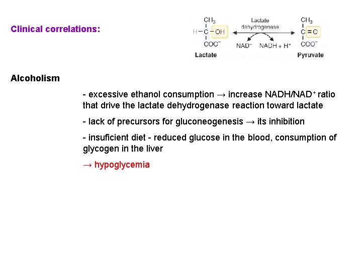 Clinical correlations: Alcoholism - excessive ethanol consumption → increase NADH/NAD+ ratio that drive the