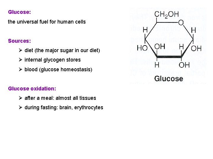 Glucose: the universal fuel for human cells Sources: Ø diet (the major sugar in