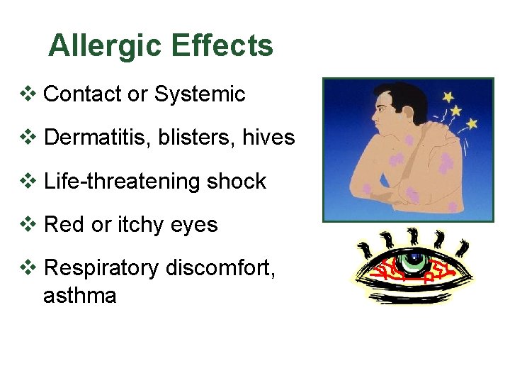 Allergic Effects v Contact or Systemic v Dermatitis, blisters, hives v Life-threatening shock v