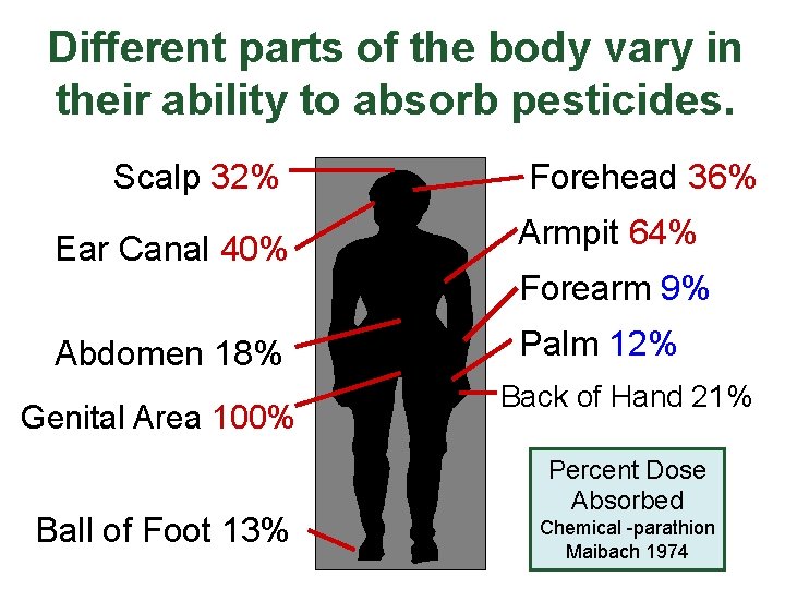 Different parts of the body vary in their ability to absorb pesticides. Scalp 32%