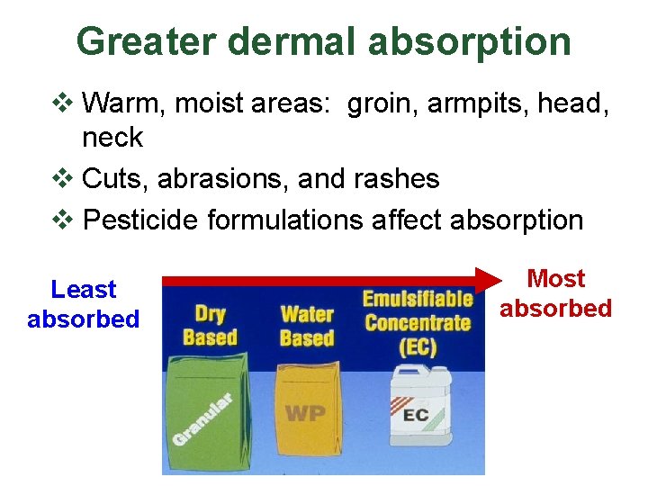 Greater dermal absorption v Warm, moist areas: groin, armpits, head, neck v Cuts, abrasions,