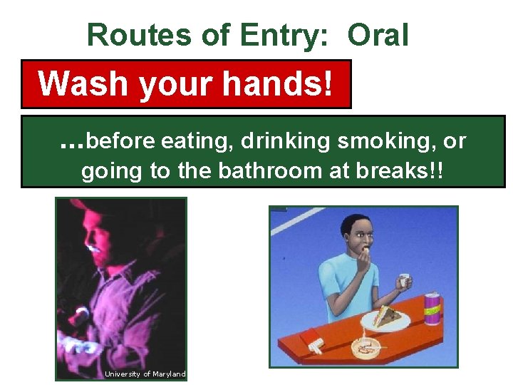 Routes of Entry: Oral Wash your hands!. . . before eating, drinking smoking, or