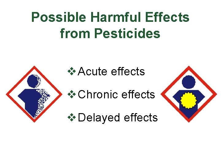 Possible Harmful Effects from Pesticides v Acute effects v Chronic effects v Delayed effects