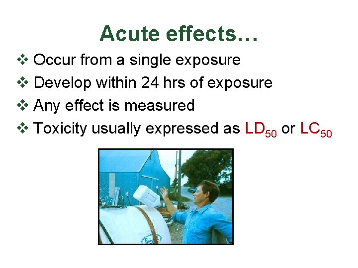 Acute effects… v Occur from a single exposure v Develop within 24 hrs of