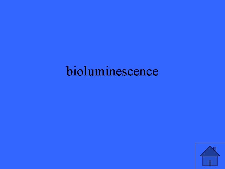 bioluminescence 