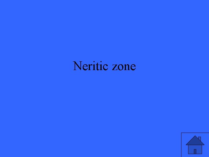 Neritic zone 