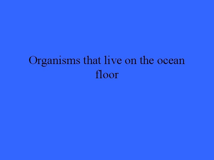 Organisms that live on the ocean floor 
