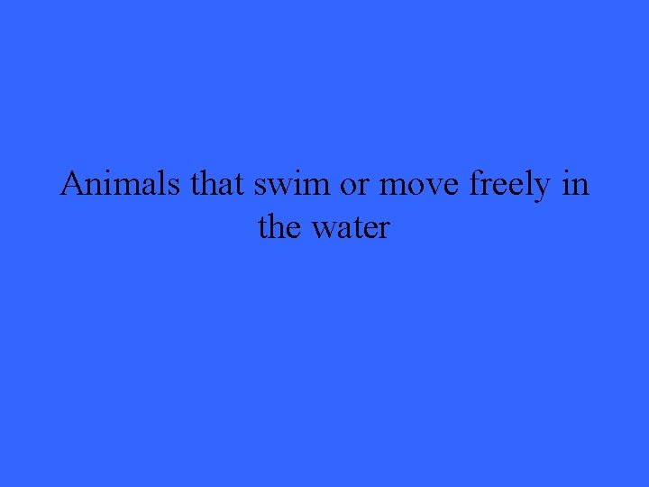 Animals that swim or move freely in the water 