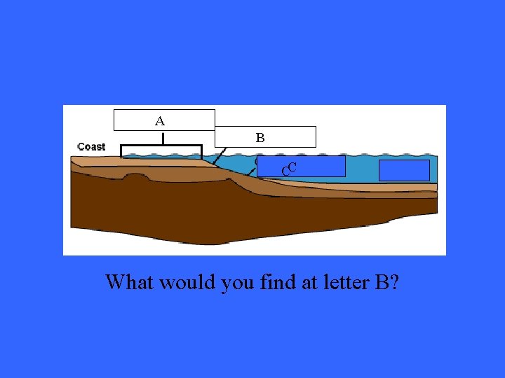 A B CC What would you find at letter B? 