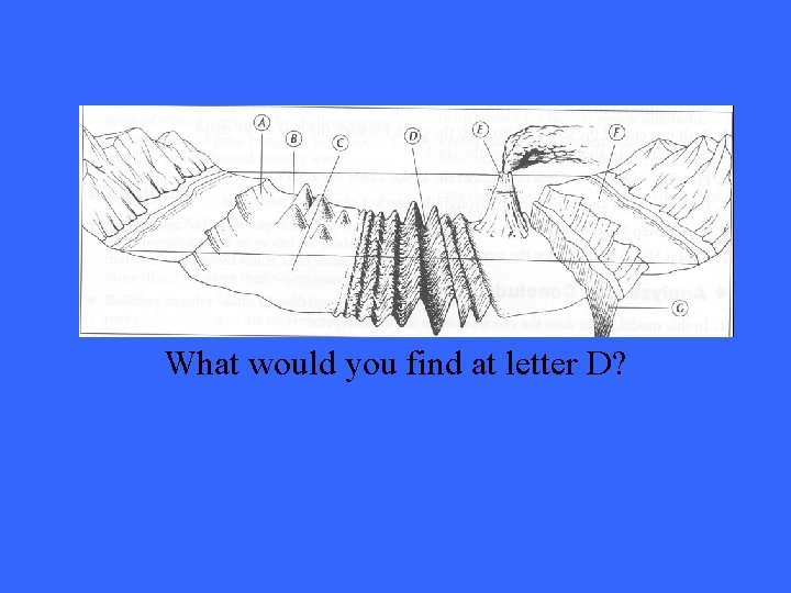 What would you find at letter D? 