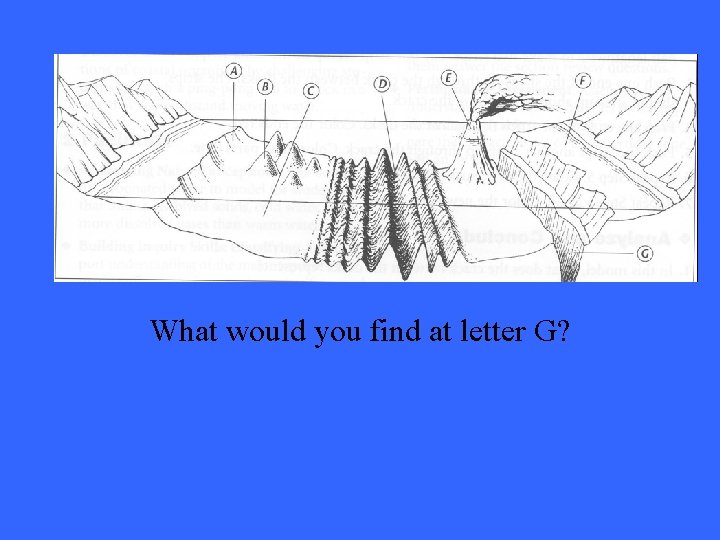 What would you find at letter G? 