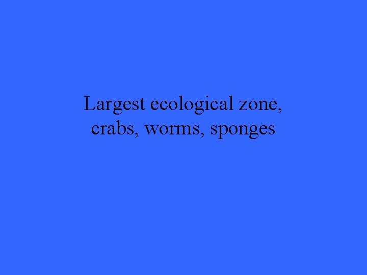 Largest ecological zone, crabs, worms, sponges 