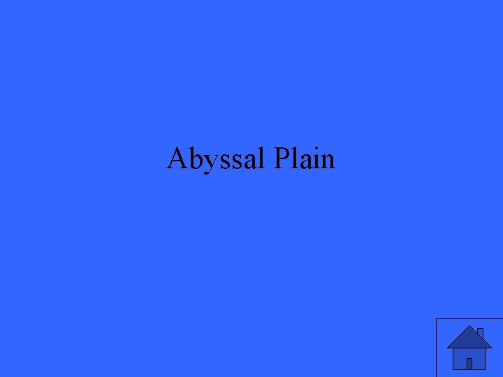 Abyssal Plain 