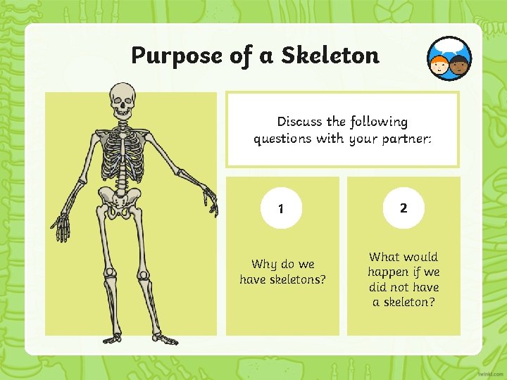 Purpose of a Skeleton Discuss the following questions with your partner: 1 Why do