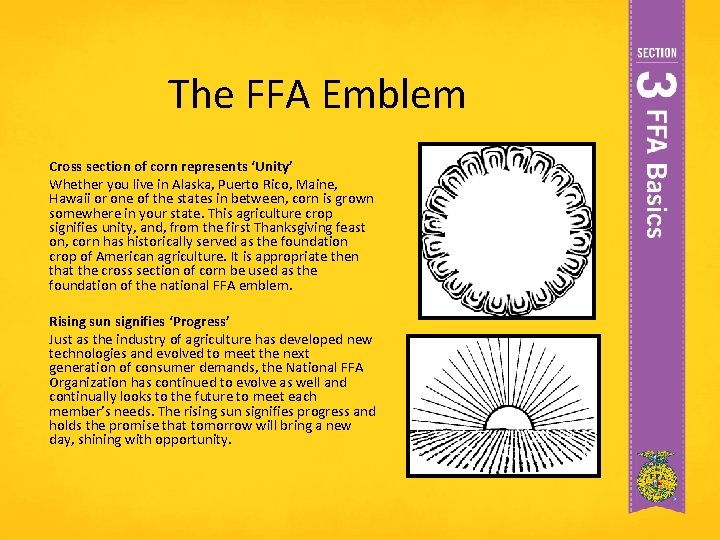 The FFA Emblem Cross section of corn represents ‘Unity’ Whether you live in Alaska,