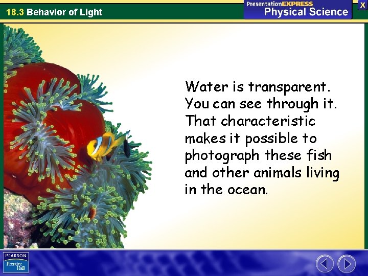 18. 3 Behavior of Light Water is transparent. You can see through it. That