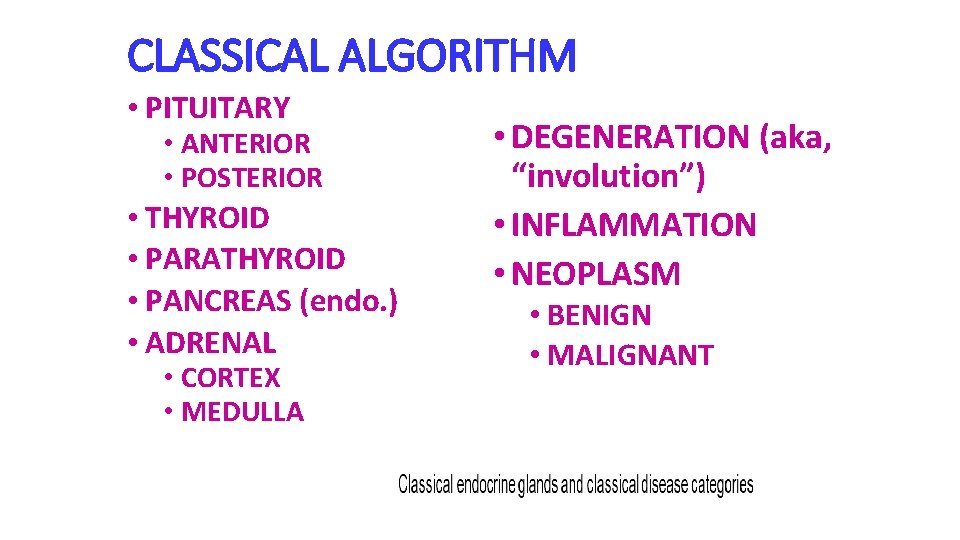 CLASSICAL ALGORITHM • PITUITARY • ANTERIOR • POSTERIOR • THYROID • PARATHYROID • PANCREAS