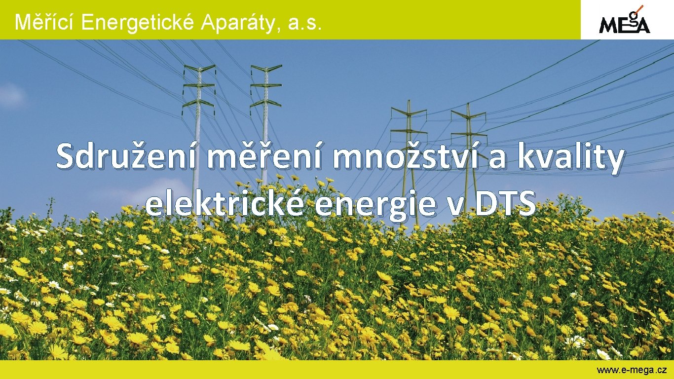 Měřící Energetické Aparáty, a. s. Sdružení měření množství a kvality elektrické energie v DTS