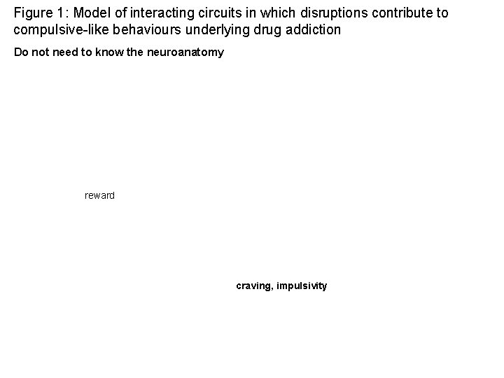 Figure 1: Model of interacting circuits in which disruptions contribute to compulsive-like behaviours underlying