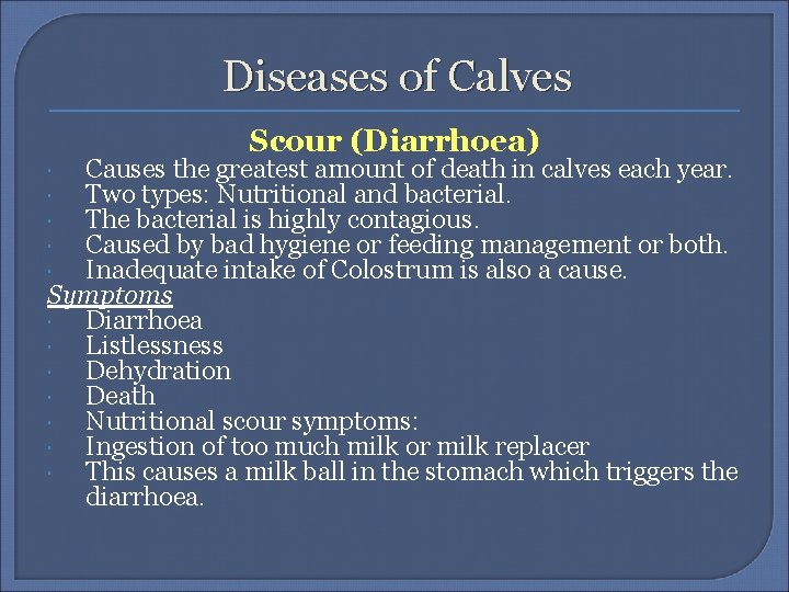 Diseases of Calves Scour (Diarrhoea) Causes the greatest amount of death in calves each