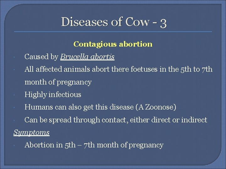 Diseases of Cow - 3 Contagious abortion Caused by Brucella abortis All affected animals