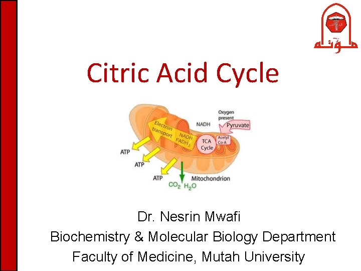 Citric Acid Cycle Dr. Nesrin Mwafi Biochemistry & Molecular Biology Department Faculty of Medicine,