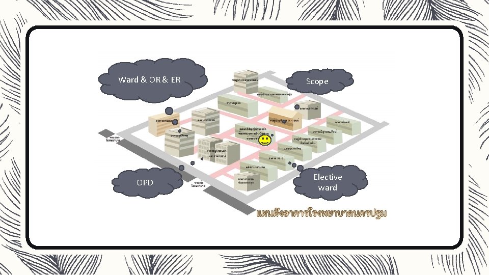 Ward & OR & ER OPD Scope Elective ward 