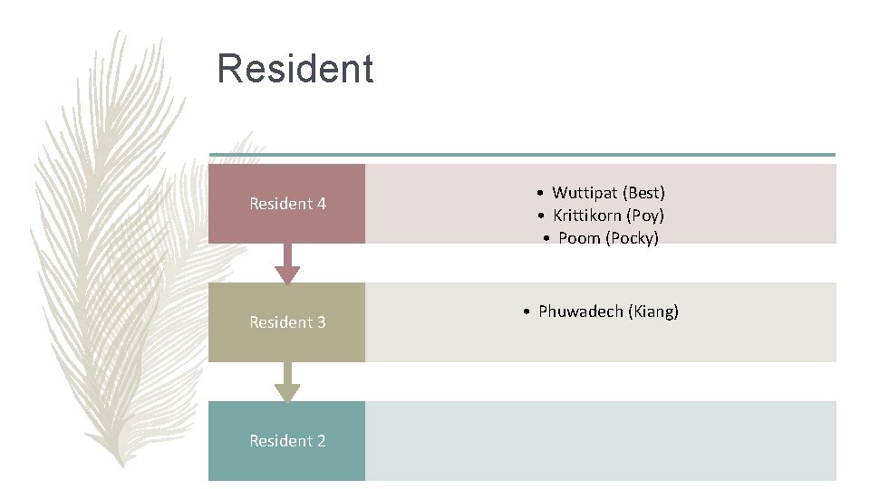 Resident 4 Resident 3 Resident 2 • Wuttipat (Best) • Krittikorn (Poy) • Poom